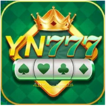 YN 777