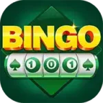 Bingo 101