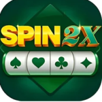Spin 2x