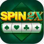 Spin 2X